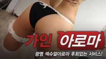 오피스타 | [광명건마-가인]