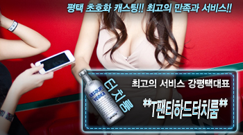 오피스타 | [**T팬티하드터치룸**-강평택대표]