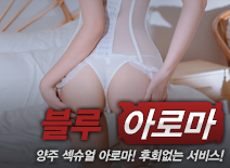 오피스타 | [양주건마-블루아로마]