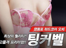 오피스타 | [영등포오피-팅커벨]