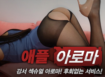 오피스타 | [강서건마-애플]