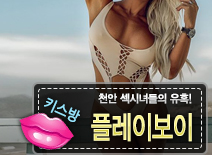 오피스타 | [천안키스방-플레이보이]