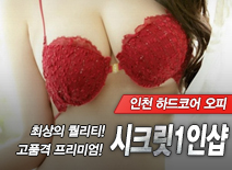 오피스타 | [인천오피-시크릿1인샵]