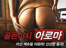 오피스타 | [아산건마-골든미시]