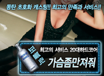 오피스타 | [가슴좀만져줘-20대하드코어]