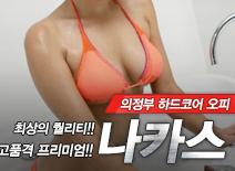 오피스타 | [의정부오피-나카스]