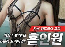 오피스타 | [강남오피-홀인원]