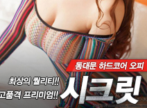 오피스타 | [동대문오피-시크릿]