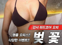 오피스타 | [강서오피-벚꽃]