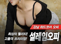 오피스타 | [강남오피-설레임오피]