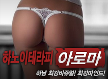 오피스타 | [하남건마-하노이테라피]