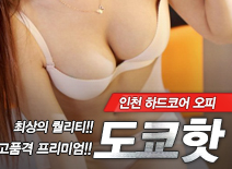 오피스타 | [인천오피-도쿄핫]