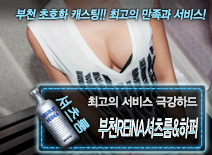 오피스타 | [부천REINA셔츠룸&하퍼-극강하드]