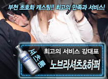 오피스타 | [노브라셔츠&하퍼-강대표]