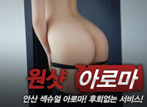 오피스타 | [안산건마-원샷]