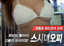 오피스타 | [영등포오피-스시녀오피]