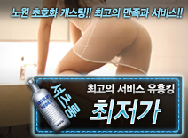 오피스타 | [최저가-유흥킹]