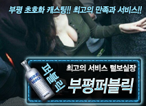 오피스타 | [부평퍼블릭-털보실장]