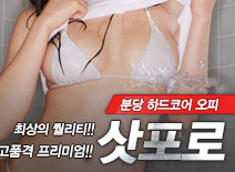 오피스타 | [분당오피-삿포로]