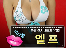 오피스타 | [분당키스방-엘프]