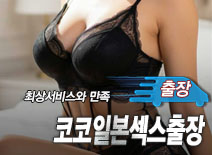 오피스타 | [안양출장-코코일본섹스출장]