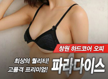 오피스타 | [창원오피-파라다이스]