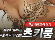 오피스타 | [가산오피-츠키룸]