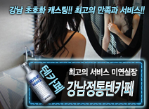 오피스타 | [강남정통텐카페-미연실장]