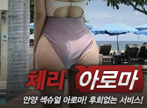 오피스타 | [안양건마-체리]