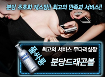 오피스타 | [분당드래곤볼-무다리실장]