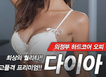 오피스타 | [의정부오피-다이아]