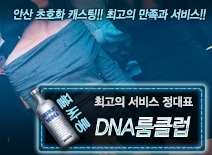 오피스타 | [DNA룸클럽-정대표]